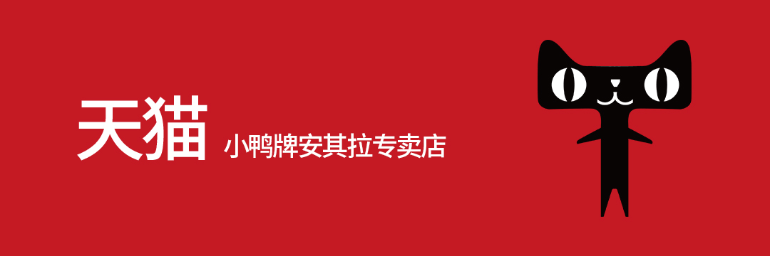 Anhui local standard (electric sweeper)